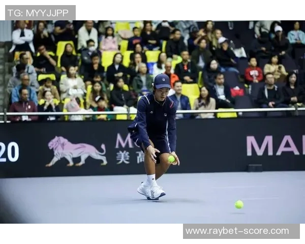 陈军独家分享网球技巧与心得助你提升球技的完美指南